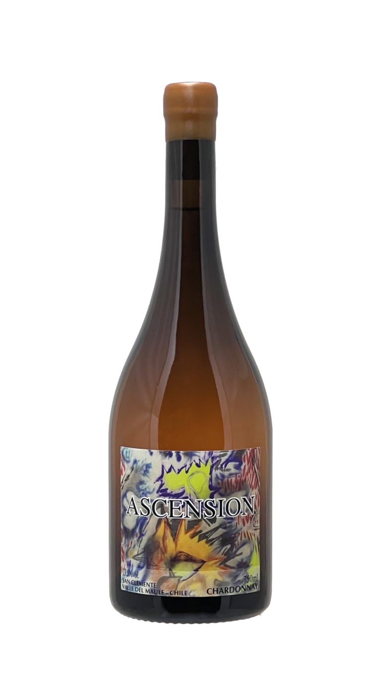 MaturanaAscension botella