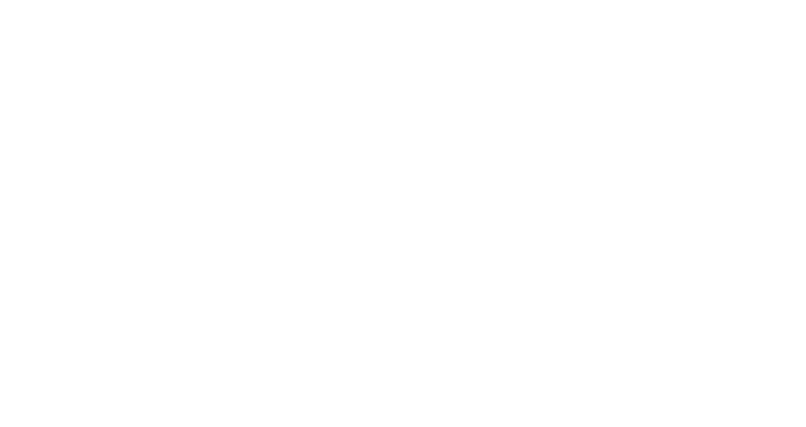 logo bodega