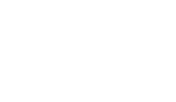 logo brio