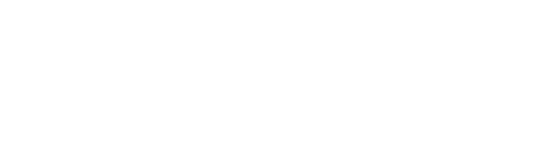 logo insurgentes