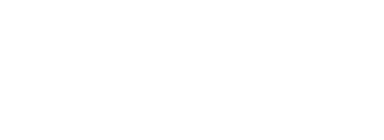 logo losdelfines