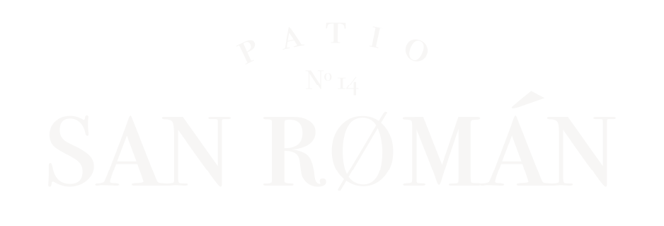 logo sanroman